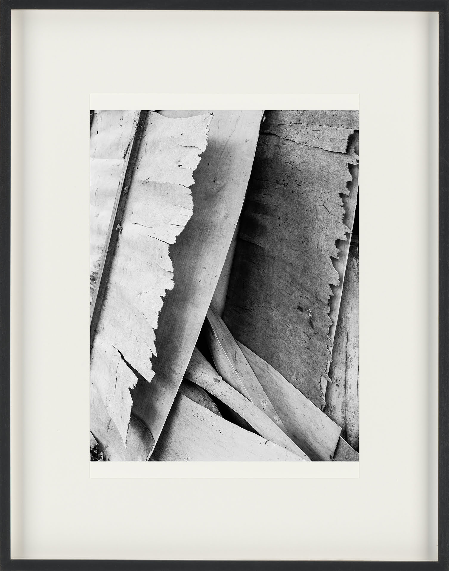 36_ET-RM_XXXVI